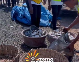 Tema health directorate confiscates basket of salted fish over unsanitary selling conditions