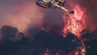 France and Spain wildfires