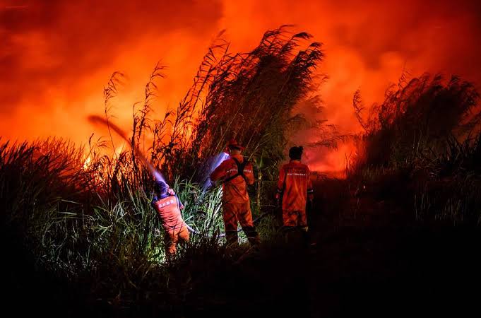 peatland fires climate change